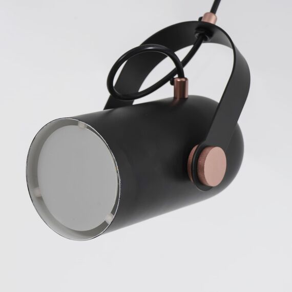 Favourite 2007-1P, подвес, L125xW90xH215/1215, 1xE14x40W, excluded, изображение 7