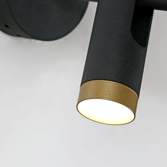 Favourite 2324-2W, настенный светильник, D250xW120xH250, 2xLEDx3W, 480LM, 4000K included, изображение 6