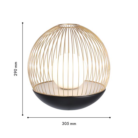 Favourite 4240-1T, настольный светильник, D305xH290, LEDx7W, 650LM, 4000K, included, switch, изображение 3