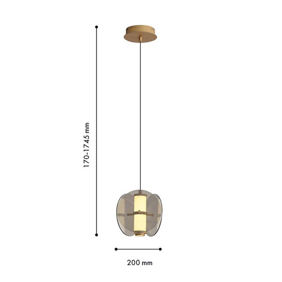 Favourite 4625-1P, подвес, D200xH210/1745, LEDx10W, 490LM, 3000K, included, изображение 2