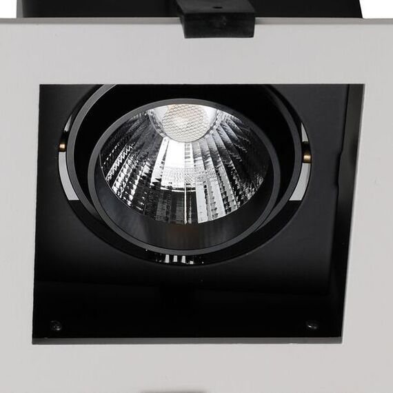 Favourite 1988-1C, врезной светильник, L120xW120xH92, cutout:L100xW100, LEDx10W, BEAM ANGLE:24°, 350° ROTATION, 800LM, 4000K, included, изображение 4