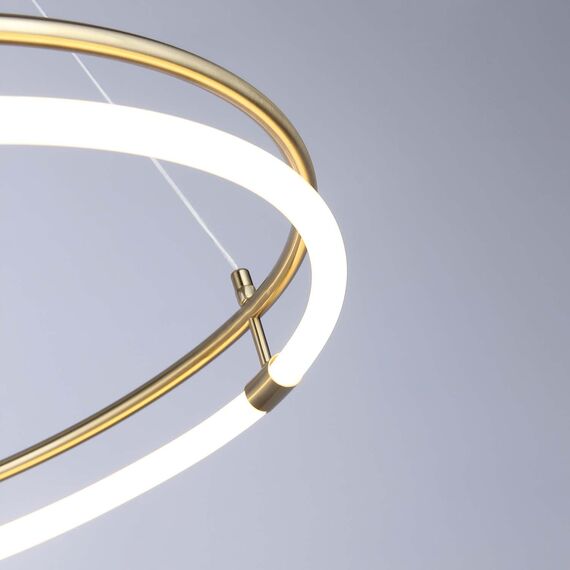 Favourite 4629-6P, подвесная люстра, D600xH200/1500, LEDx24W, 2740LM, 4000K, included, изображение 4