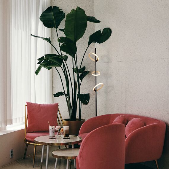 Favourite 4322-20P, подвесная люстра, D650xH215/3000, 10xLEDx7W + 10xLEDx5W, 9600LM, 4000K, included, изображение 4