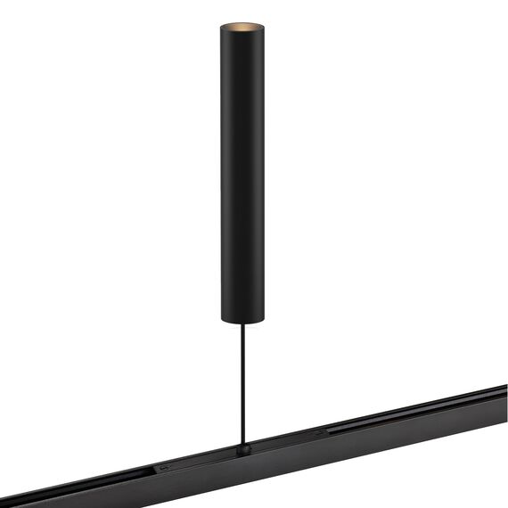 Favourite 4586-1P, трековый светильник, D30xL145xH1500, LEDx6W, 48V, 410LM, 2700-5700K, CRI>90, beam angle:24, included, изображение 2