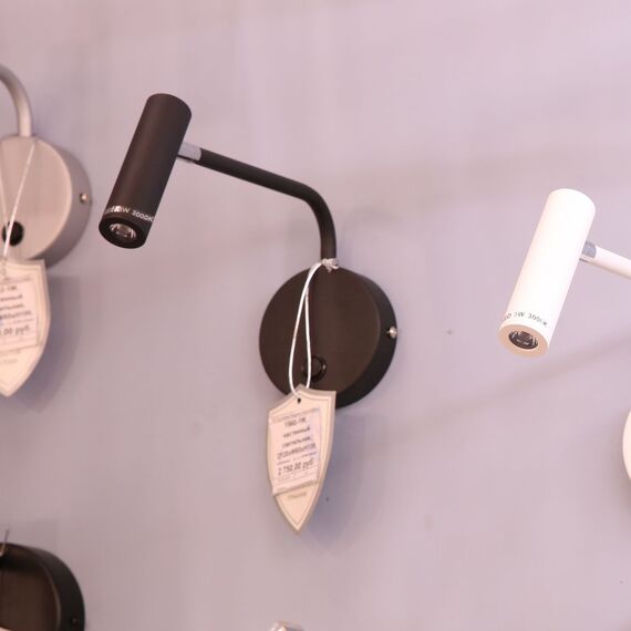 Favourite 1960-1W, настенный светильник, D250xW100xH170, 1xLEDx3W, 240LM, 3000K, included, switch, изображение 3