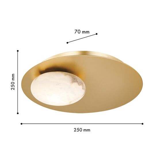 Favourite 4556-1W, настенный светильник, L70xW250xH250, LEDx7W, 440LM, 4000K, included, изображение 3