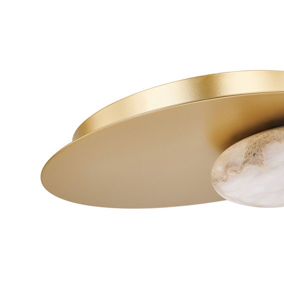 Favourite 4556-1W, настенный светильник, L70xW250xH250, LEDx7W, 440LM, 4000K, included, изображение 5