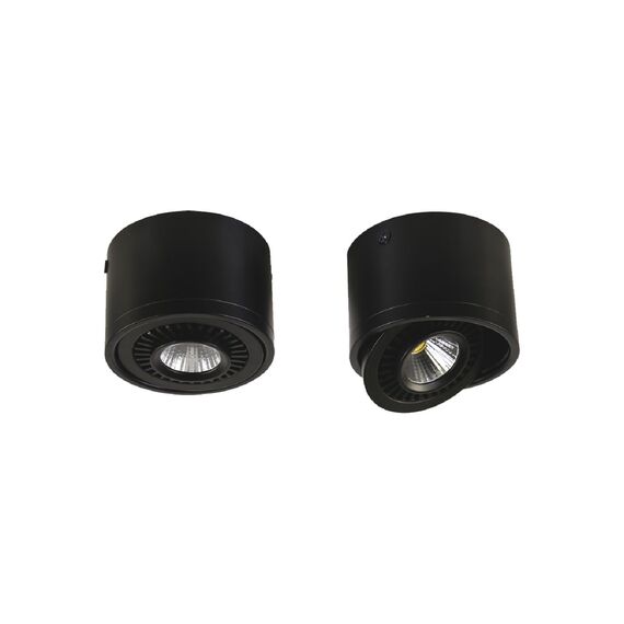 Favourite 1779-1C, потолочный светильник, D112xH85, 1xLEDx12W, AC:100-240V, 960LM, RA>80, IP21, 960LM, 4000K, included