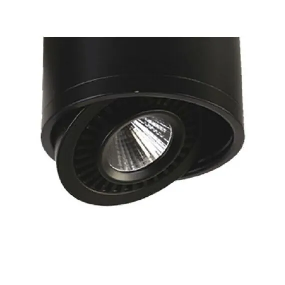 Favourite 1778-1C, потолочный светильник, D87xH60, 1xLEDx7W, AC:100-240V, 560LM, RA>80, IP21, 560LM, 4000K, included, изображение 4