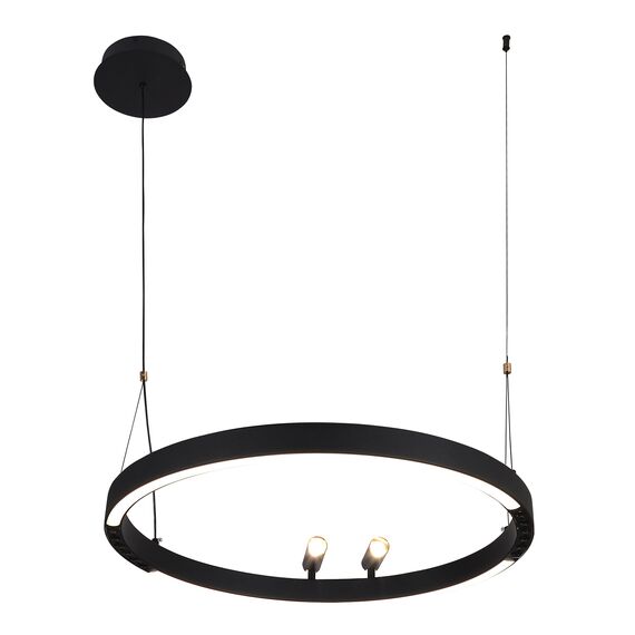 F-Promo 4474-1P, подвесная люстра, D600xH1000/1800, LEDx58W + 2xLEDx3W, 1860LM, 3000-6500K, included, remote control