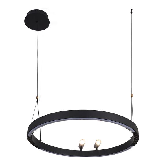 F-Promo 4474-1P, подвесная люстра, D600xH1000/1800, LEDx58W + 2xLEDx3W, 1860LM, 3000-6500K, included, remote control, изображение 2