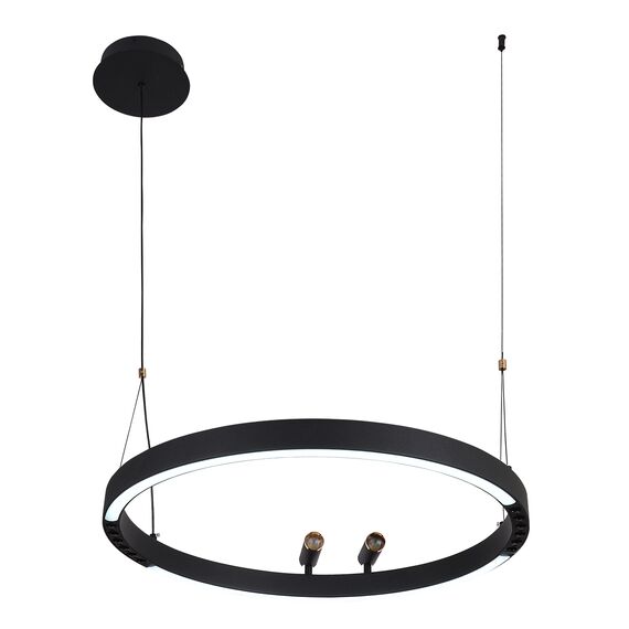 F-Promo 4474-1P, подвесная люстра, D600xH1000/1800, LEDx58W + 2xLEDx3W, 1860LM, 3000-6500K, included, remote control, изображение 4