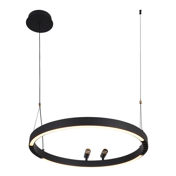 F-Promo 4474-1P, подвесная люстра, D600xH1000/1800, LEDx58W + 2xLEDx3W, 1860LM, 3000-6500K, included, remote control, изображение 5