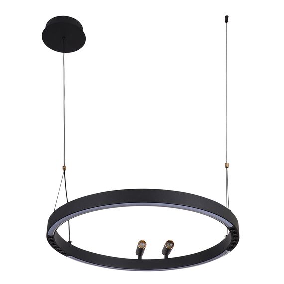 F-Promo 4474-1P, подвесная люстра, D600xH1000/1800, LEDx58W + 2xLEDx3W, 1860LM, 3000-6500K, included, remote control, изображение 6