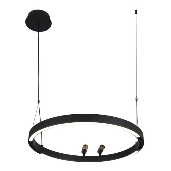 F-Promo 4474-1P, подвесная люстра, D600xH1000/1800, LEDx58W + 2xLEDx3W, 1860LM, 3000-6500K, included, remote control, изображение 7