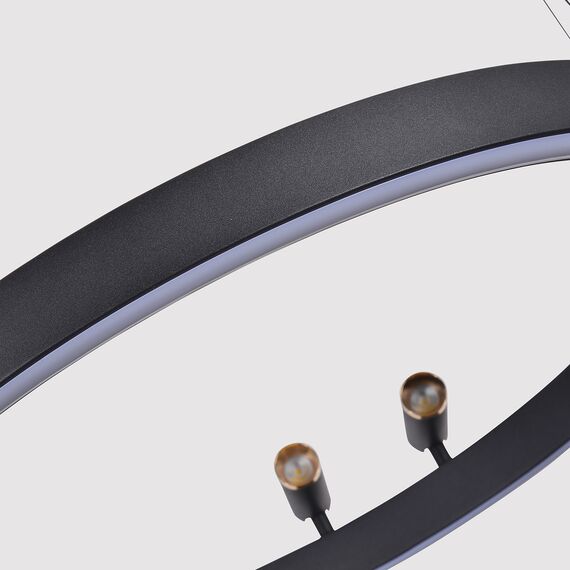 F-Promo 4474-2P, подвесная люстра, D830xH1000/1800, LEDx53W + LEDx33W + 4xLEDx3W, 2075LM, 3000-6500K, included, remote control, изображение 3