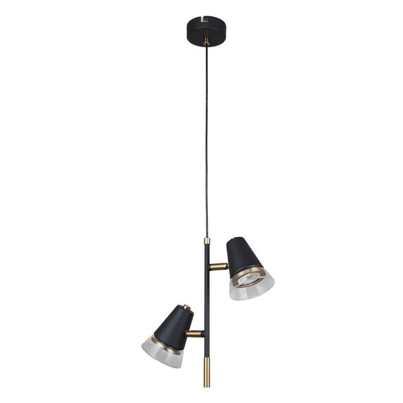 F-Promo 4618-2P, подвес, D290xH425/1600, 2xGU10x35W, excluded, изображение 2