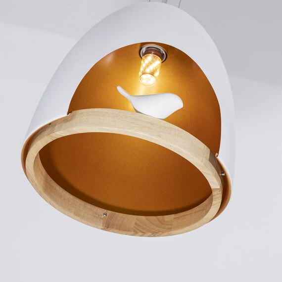 Favourite 1878-1P, подвесная люстра, D300xH310/1310, 1xE27x40W, excluded, изображение 5