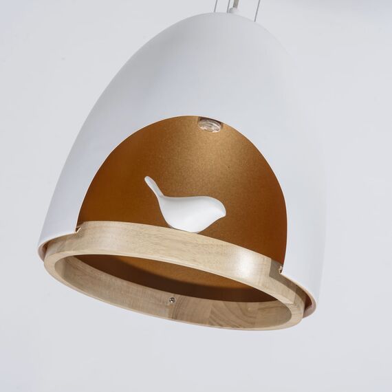 Favourite 1878-1P, подвесная люстра, D300xH310/1310, 1xE27x40W, excluded, изображение 6