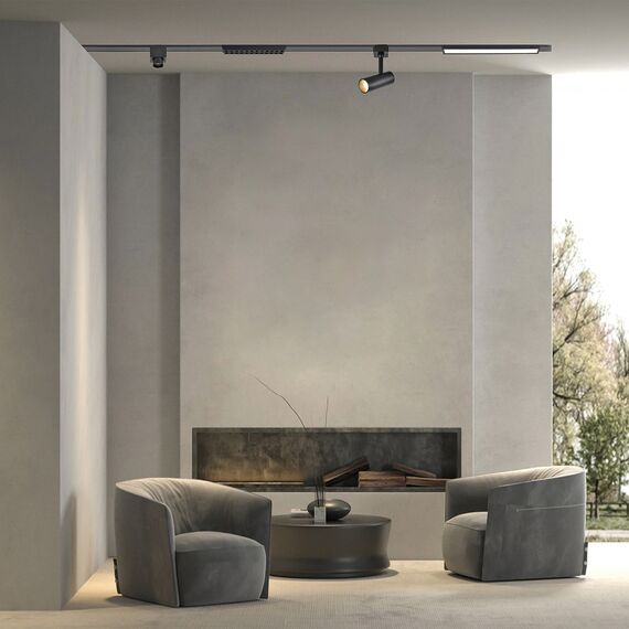 Favourite 4233-1U, трековый светильник, D55xH140, LEDx8W, 42V, 600LM, 3000-6000K, CRI>90, included, изображение 4