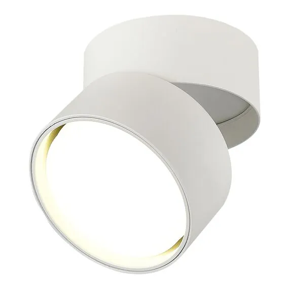 ST LUCE ST651.502.01 Светильник потолочный Белый GX53 1*50W IP20 D85xH77 220V Без ламп