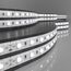 Elektrostandard a052969 5050 24V 60Led 14,4W IP65 Лента светодиодная 60Led 14,4W IP65 4200K дневной белый