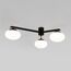 Eurosvet a065764 70220/3 Потолочный светильник черный