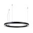 Arlight 049361 Светильник SP-CIRCLE-HANG-O3535-D600-35W Day4000 (RAL9005, 120 deg, 230V) IP40 LED (Arlight, Алюминий) - ! УПАКОВКА СОСТОИТ ИЗ - 1 шт
