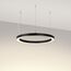 Arlight 049359 Светильник SP-CIRCLE-HANG-O3535-D500-30W Day4000 (RAL9005, 120 deg, 230V) IP40 LED (Arlight, Алюминий) - ! УПАКОВКА СОСТОИТ ИЗ - 1 шт, изображение 4