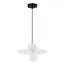 EVOLUCE SLE1257-453-01 Светильник подвесной Черный/Белый G9 1*5W 4000K, изображение 4