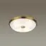 Odeon Light 4956/4; 0044891 Настенно-потолочный светильник, изображение 2
