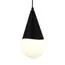 EVOLUCE SLE1197-403-01 Светильник подвесной Черный/Белый E27 1*40W, изображение 3