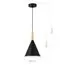 EVOLUCE SLE1255-403-01 Светильник подвесной Черный/Черный E27 1*40W, изображение 2
