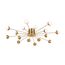 Freya FR5242CL-16BS Люстра потолочная Celebrity, изображение 5