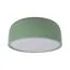 LOFT IT 10201/350 Green Потолочный светильник Axel