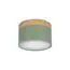 LOFT IT 10162 Green Накладной светильник Grape