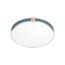 SONEX 7677/DL COLOR SN 135 Светильник пластик/серо-гол./зол. LED 48Вт 4000K D393 IP43 OTIGA BLUE, изображение 4