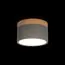 LOFT IT 10162 Grey Накладной светильник Grape, изображение 2