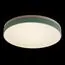 LOFT IT 10001/36 Green Потолочный светильник Axel, изображение 3