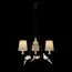 LOFT IT LOFT1029A-3 Подвесная люстра Birds, изображение 2