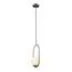 LOFT IT LOFT2595-B Подвесной светильник Glob, изображение 3