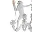 LOFT IT 10314 White Подвесной светильник Monkey, изображение 7