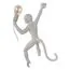 LOFT IT 10314W/B Настенный светильник Monkey, изображение 5