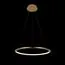 LOFT IT 10014M Подвесной светильник Ring, изображение 2