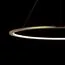 LOFT IT 10014XL Подвесной светильник Ring, изображение 6