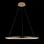 LOFT IT 10014L Подвесной светильник Ring, изображение 2