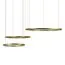 LOFT IT 10017/3L Подвесной светильник Ring, изображение 4