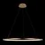 LOFT IT 10014XL Подвесной светильник Ring, изображение 2
