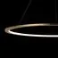 LOFT IT 10014L Подвесной светильник Ring, изображение 6