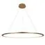 LOFT IT 10014XL Подвесной светильник Ring, изображение 3